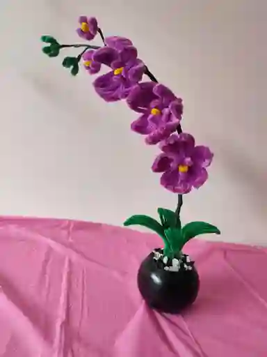Hermosa Orquidea Eterna