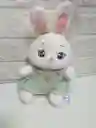 Peluche Conejita De 20cm Diferente Color De Vestido