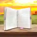 Diario De Capibara