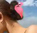 Pinzas Cabello Animales Tendencia
