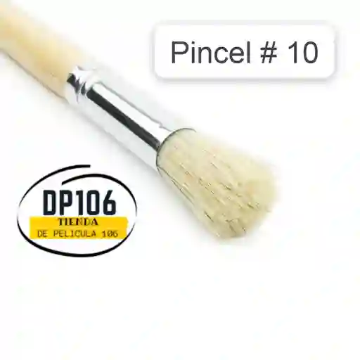 Pincel Cerda Redonda # 10