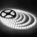 Cinta Smd Led Siliconada 5050 Luz Blanca 6500k 12v Rll 5mts