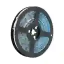 Cinta Smd Led Siliconada 5050 Luz Blanca 6500k 12v Rll 5mts