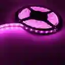 Cinta Led Siliconada 5050 14.4w/m Rosa 12v Rll 5m