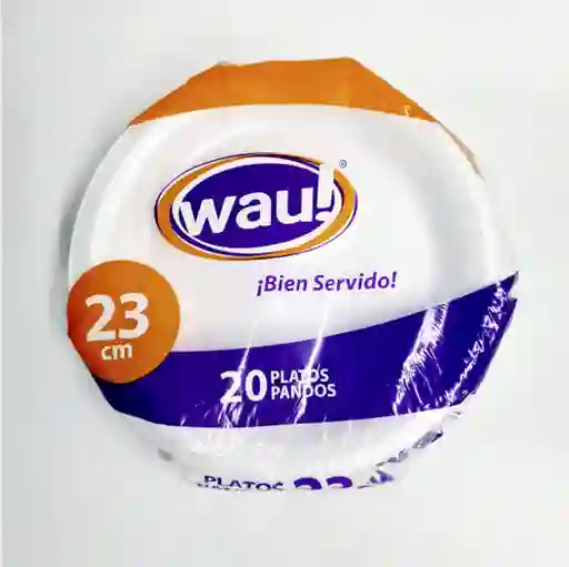 Plato Desechable De Icopor 23 Pando Wau
