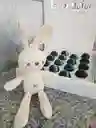 Choco Rabbit Atraccion