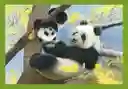 Rompecabezas 4 En 1 Animales Tiernos Y Bebés Para Niños