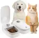 Comedero De Mascota Con Sensor: Control De Comida Al Alcance De Tu Mano