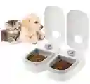 Comedero De Mascota Con Sensor: Control De Comida Al Alcance De Tu Mano