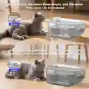 Fuente De Agua Para Gatos Y Perros Con Bandeja De Acero Inoxidable – Automática Y Fácil De Limpiar