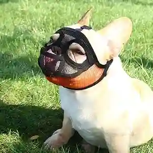 Bozal Bulldog Talla M