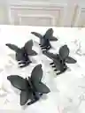 Caimán Mariposa