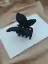 Caimán Mariposa