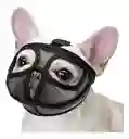 Bozal Bulldog Talla L