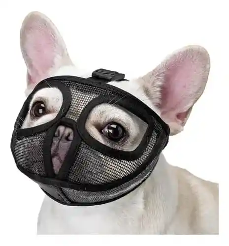 Bozal Bulldog Talla L