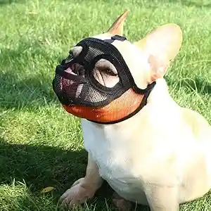 Bozal Bulldog Talla L