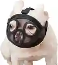 Bozal Bulldog Talla L