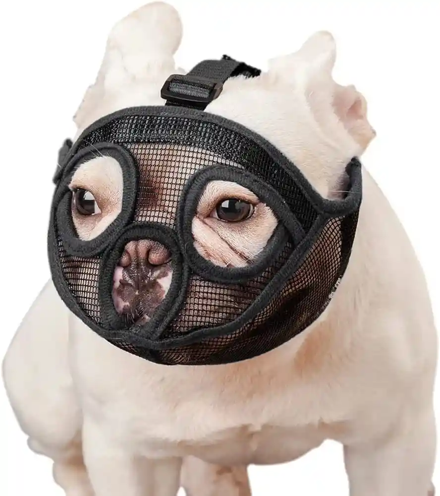 Bozal Bulldog Talla L
