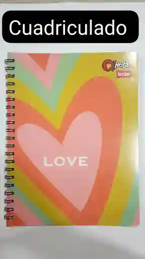 Cuaderno Academico Argollado 80 Hojas Cuadriculado