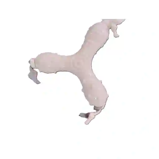 Juguete Para Perro Jack De Silicona Blanco