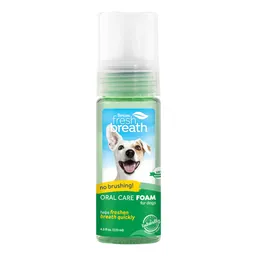 Fresh Breath Foam Oral Care 133ml