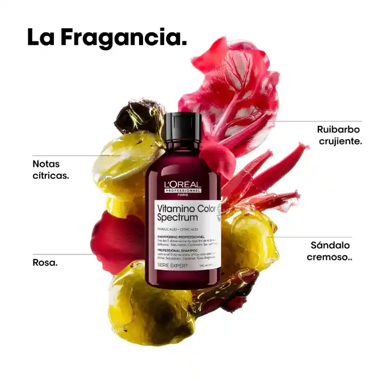Shampoo Para Proteger Y Fijar El Color Vitamino Color Sprectrum L’oreal Serie Expert 300ml