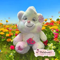 Peluche Oso Cariñoso