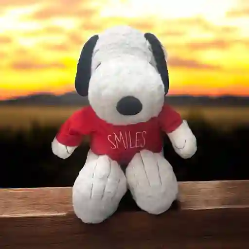 Peluche Snoopy Con Camisa