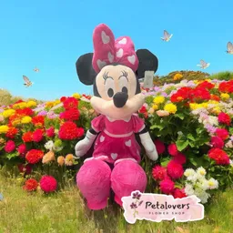 Peluche Minnie