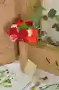 Arreglo De Flores Tipo Exportación