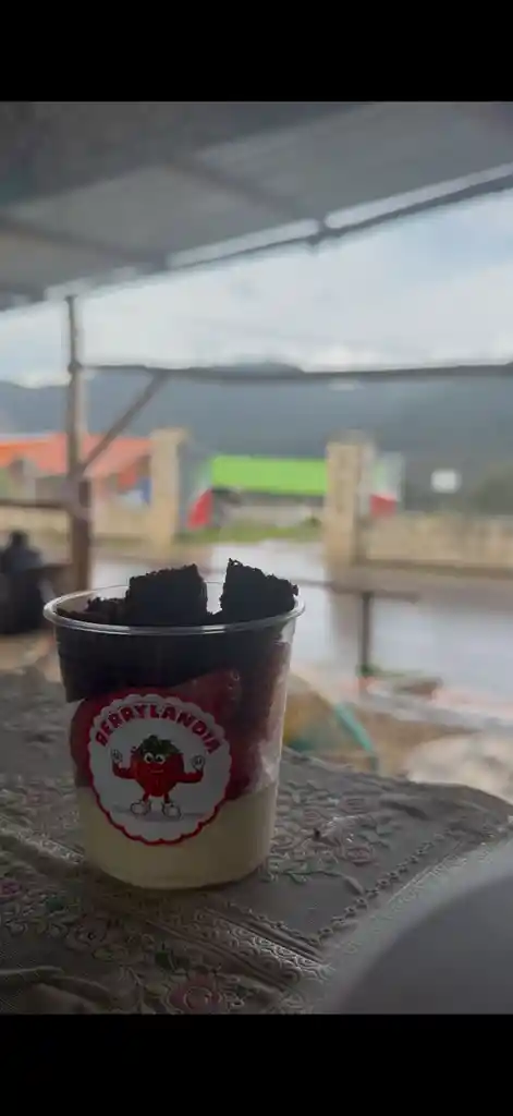 Berry Brownie