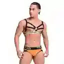 Arnés Mirko Negro Pali