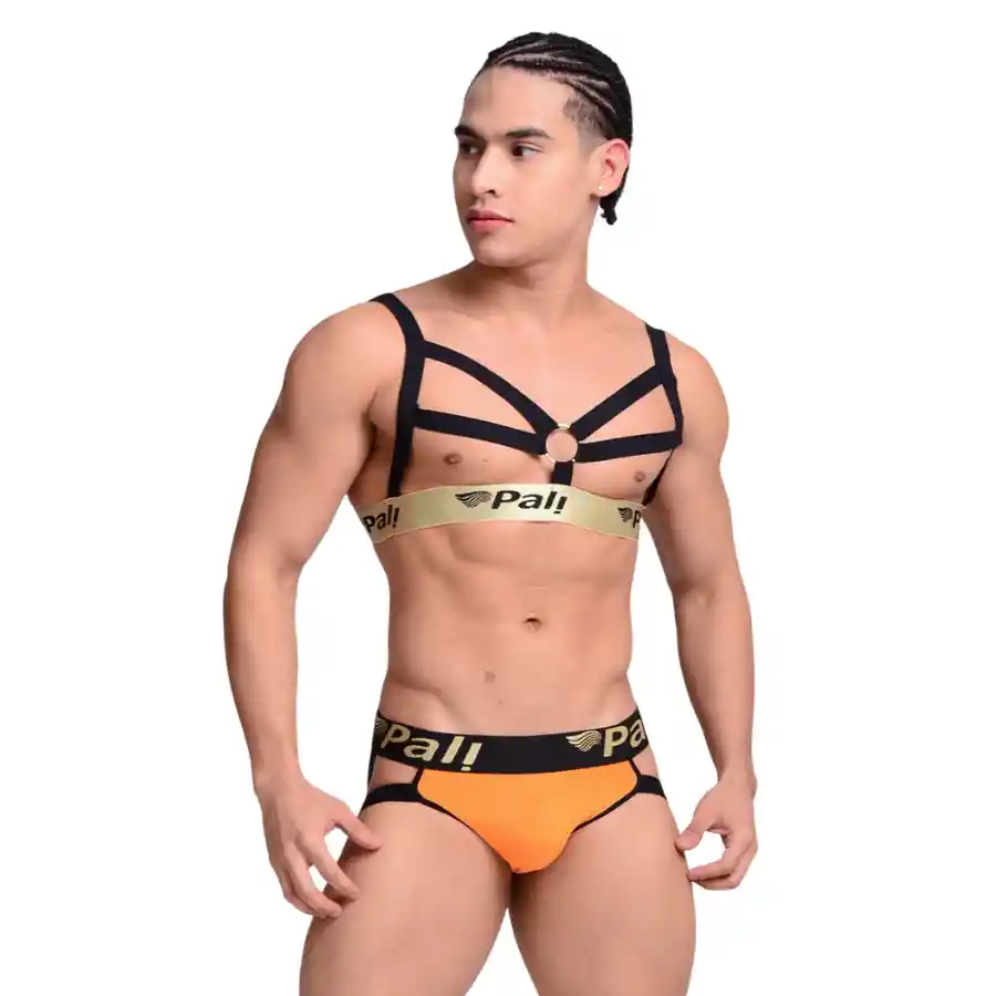 Arnés Mirko Negro Pali