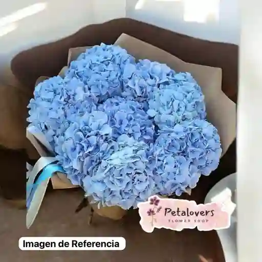 Flores Hortensias Azules