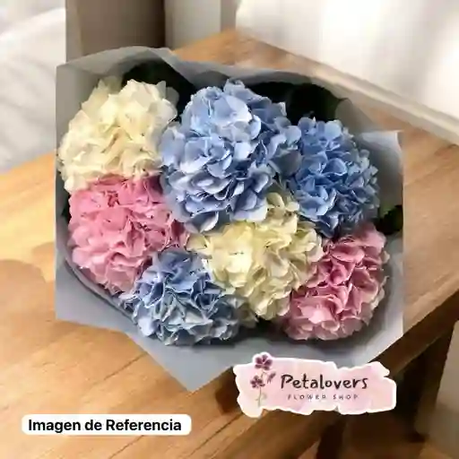 Flores Hortensias Surtidas 7 Unidades