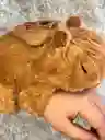 Manillas Edicion Capibara