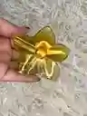 Caimanes Edicion Especial