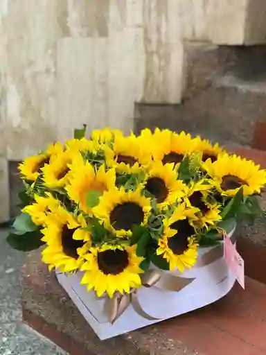 Corazon De Girasoles