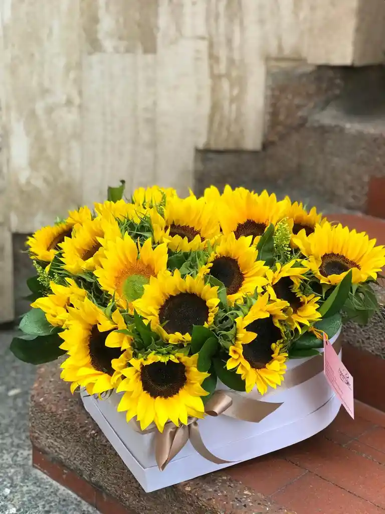 Corazon De Girasoles