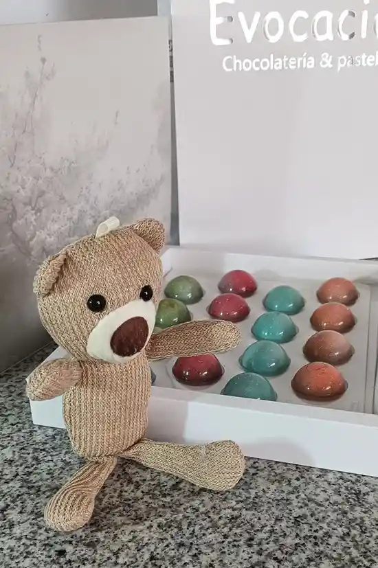 Choco Bear Evocacion