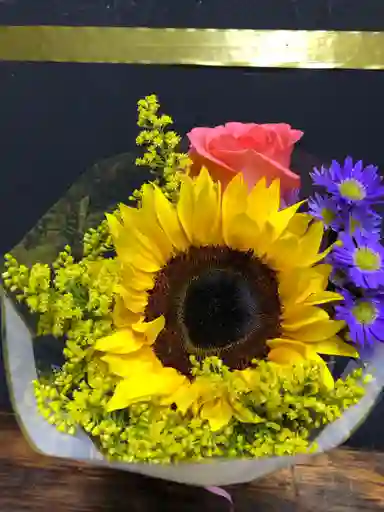 Ensueño De Amor