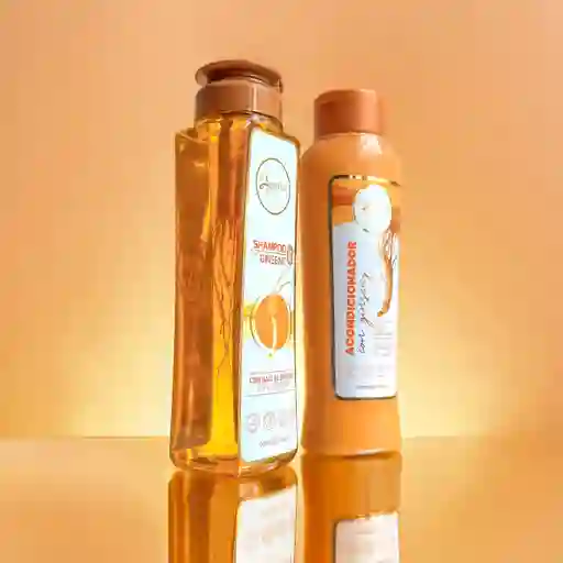 Shampoo Con Ginseng Anyeluz