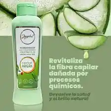 Acondicionador Anyeluz De Argán Y Aloe Vera