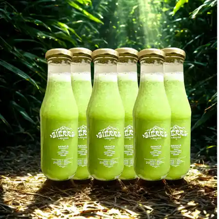 Six Pack Minca