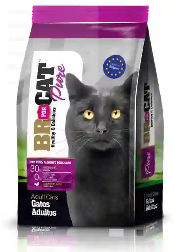 Br For Cat Gatos Adultos