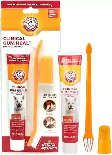 Kit Dental Para Perros