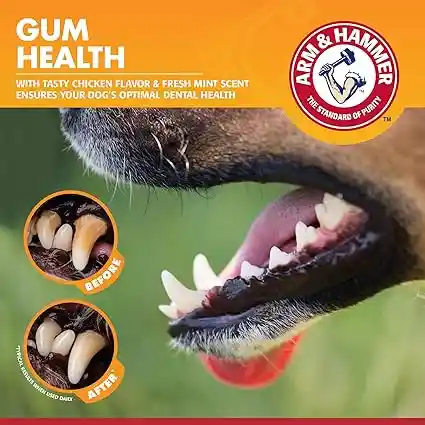 Kit Dental Para Perros