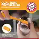 Kit Dental Para Perros