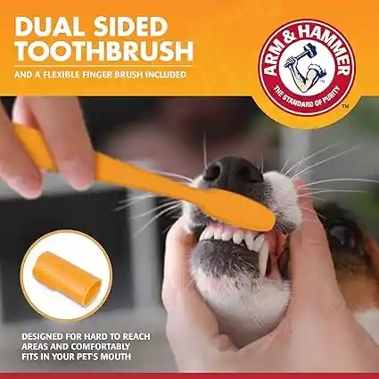 Kit Dental Para Perros