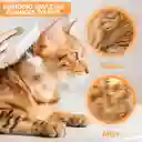 Cepillo A Vapor Para Mascotas Bonito Cepillo De Masaje Crema Desmontable Antiestático